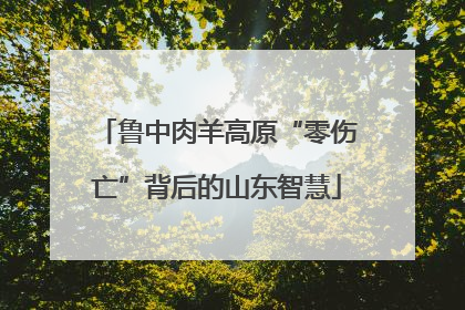 鲁中肉羊高原“零伤亡”背后的山东智慧